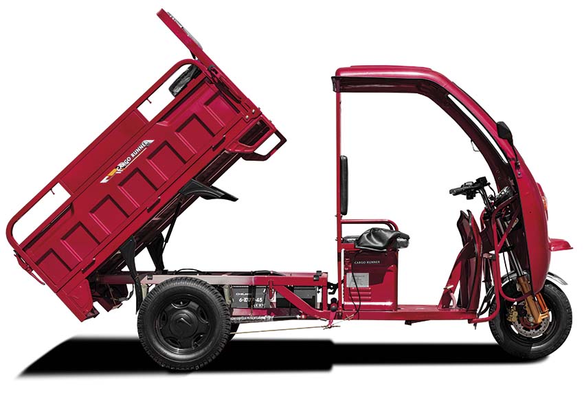 CARGO RUNNER mit Dach